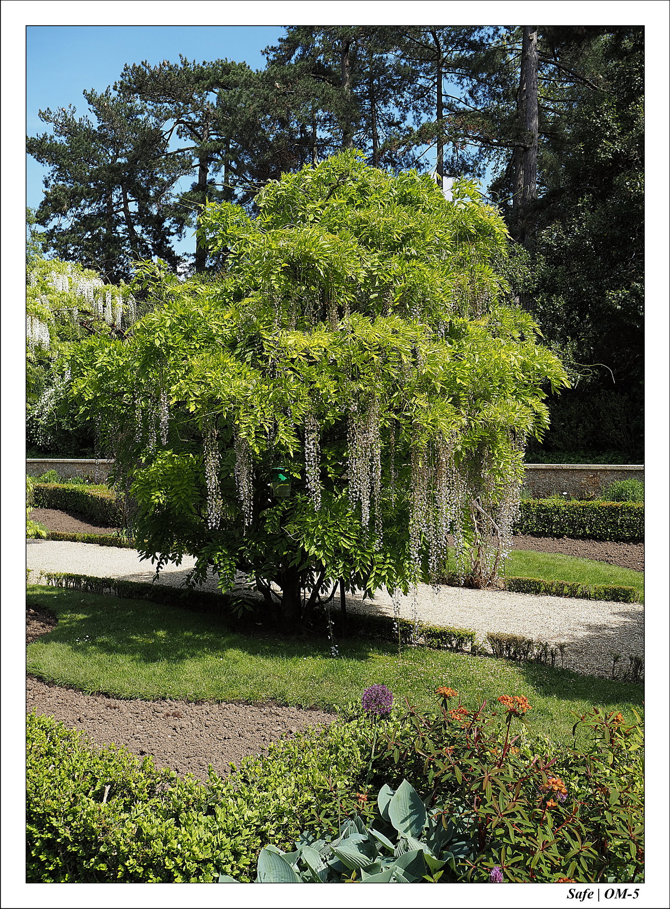 2024 - 05 - Bagatelle - 25